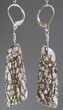 Black Spiderweb Dinosaur Bone Earrings #5253-6